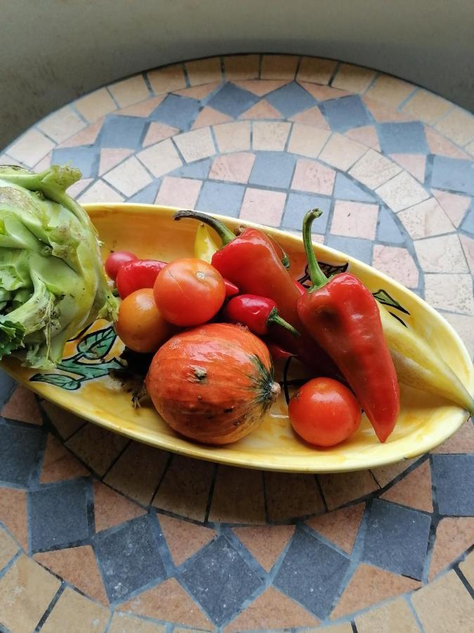 Gartenapartment Storchenblick Вайден ам Зее Екстериор снимка